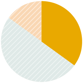 Pie chart representing Public and Private Debt Impact Investing