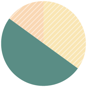 Pie Chart representing Public Equity Impact Investing