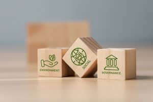 Introduction to Sustainable Investing