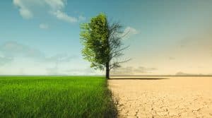 4 Climate Change Books Driving the Climate Discussion